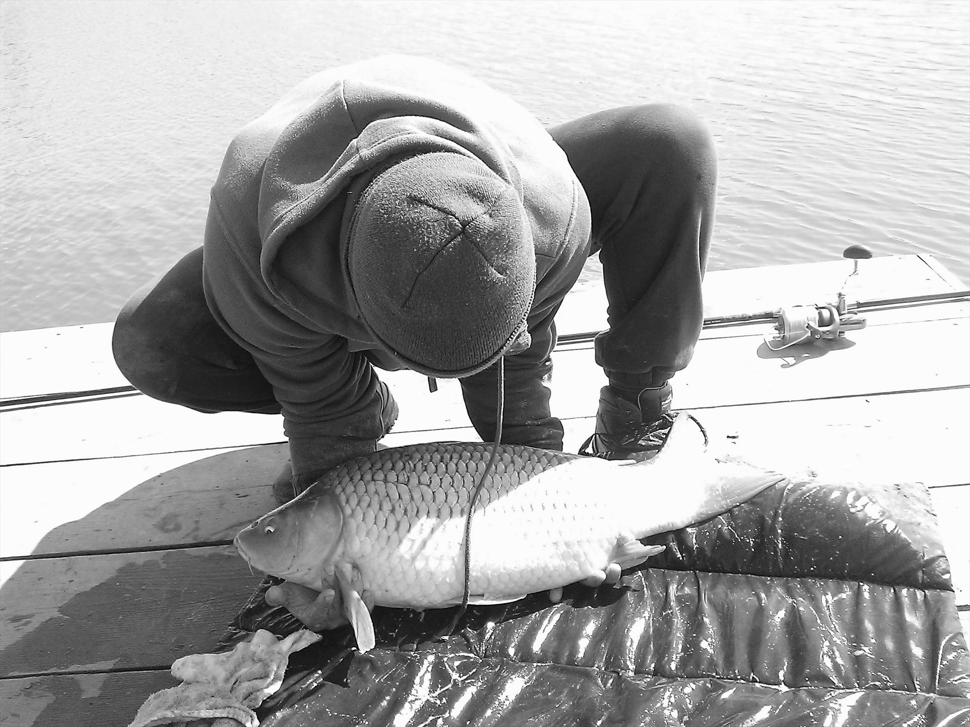 Fa-i poza daca poti... - wp201303230441.jpg